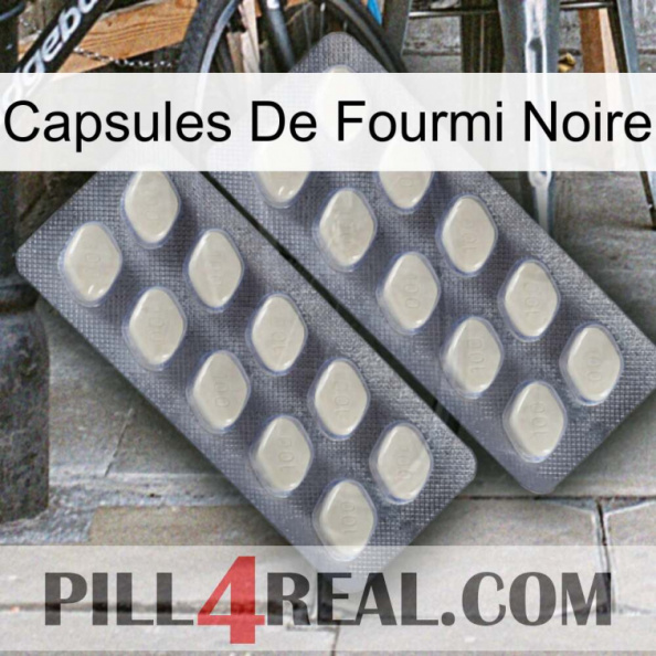 Black Ant Capsules 07